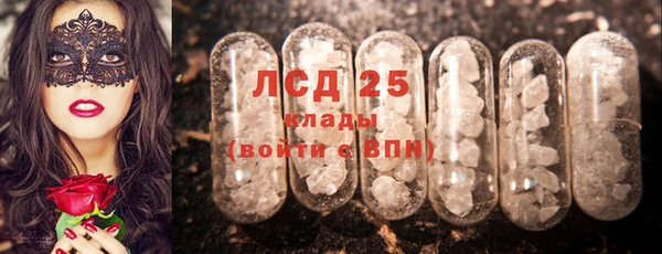 стаф Арсеньев