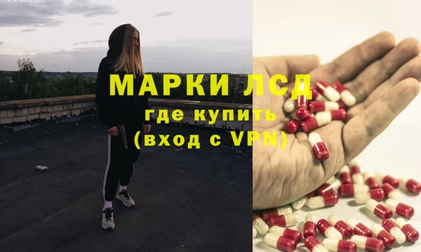 стаф Арсеньев