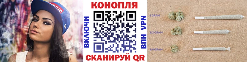 Канабис SATIVA & INDICA  купить  сайты  Магадан 